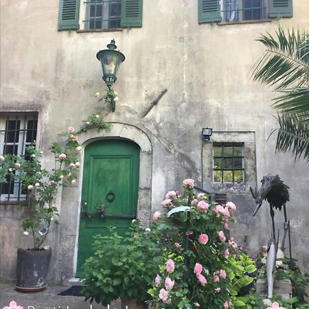 Bed and Breakfast Bastide De La Lauve Magagnosc Экстерьер фото