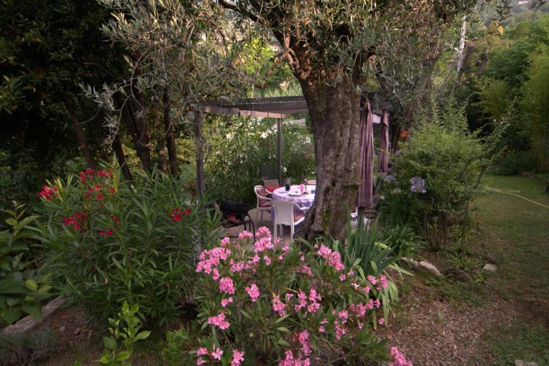Bed and Breakfast Bastide De La Lauve Magagnosc Экстерьер фото
