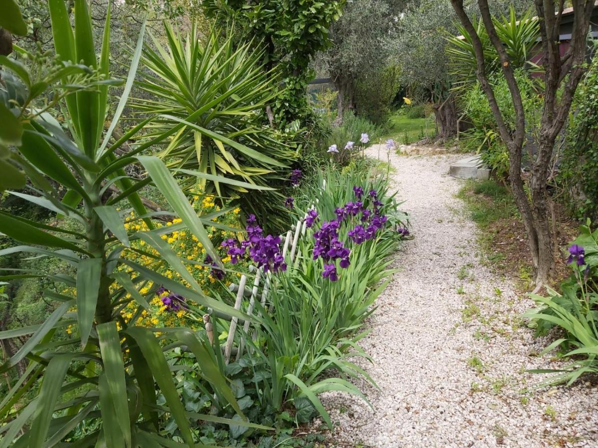 Bed and Breakfast Bastide De La Lauve Magagnosc Экстерьер фото