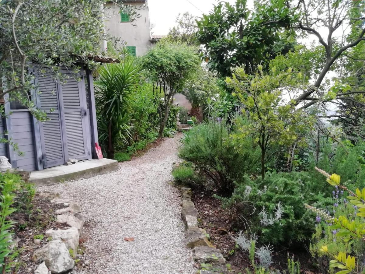 Bed and Breakfast Bastide De La Lauve Magagnosc Экстерьер фото